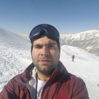 Ali Qaredaqi